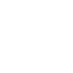 President's Award logo.