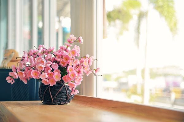 spring flower by the window.